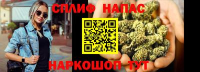 СК Краснознаменск