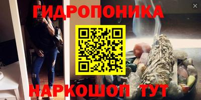 прущие грибы Краснокаменск
