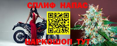 прущие грибы Краснокаменск