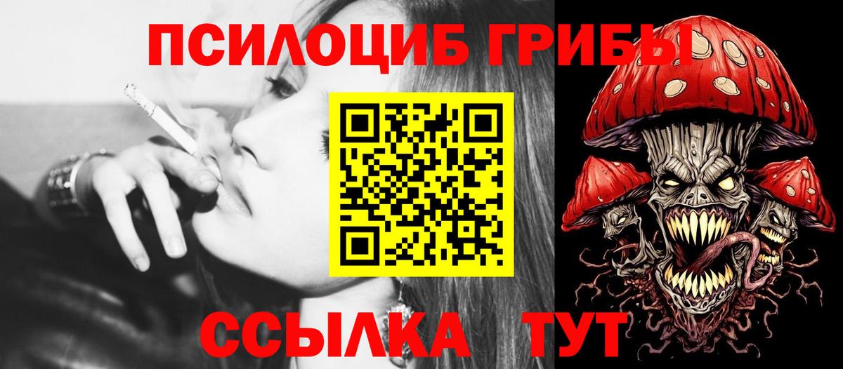 Карачаевск  Галлюциногенные грибы ЛСД  Вход с VPN  Галлюциногенные грибы Psilocybe 