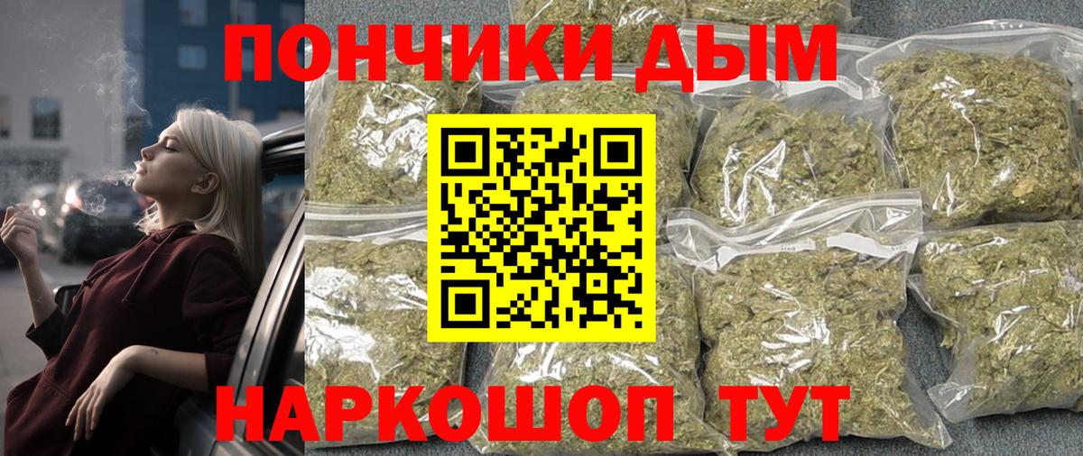 Каннабис OG Kush Карачаевск